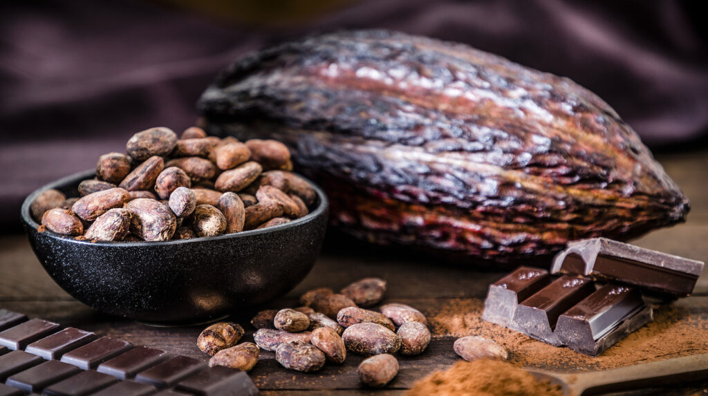 chocolate bar, cocoa powder, cocoa beans and cocoa pod